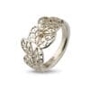 ring beech leaves polished