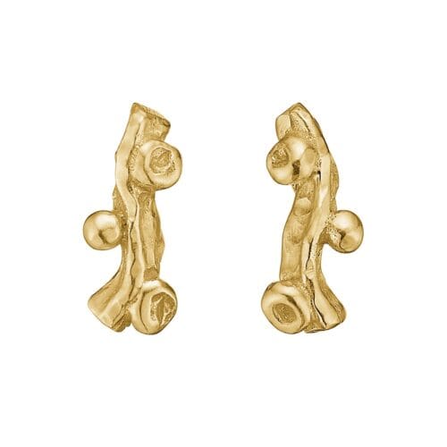 zenith pin Örhängen